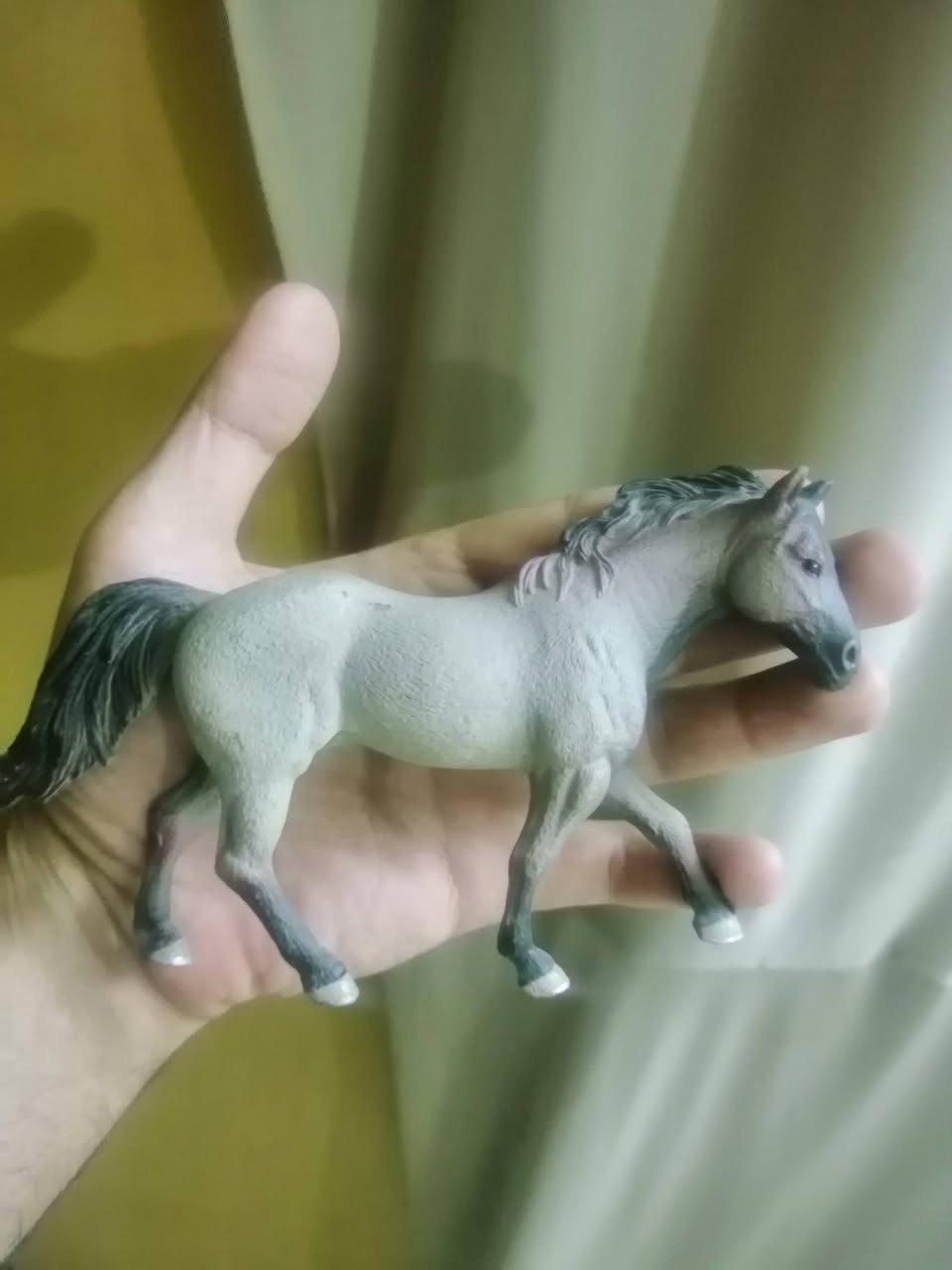 يا الله
حيوانات شلاش للبيع العدد 35 السعر طلب الاستفسار على الواتساب *********** ✅
