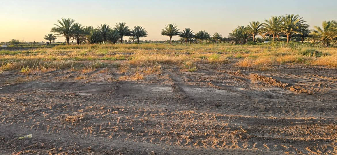 للبيع(10)  دوانم🌲 زراعي اصلاح 24.( تريد دوانم  او اكثر عادي)🌳
الموقع المحاويل البدع شارع حله بغداد تبعد عن شارع العام 250 م موقع حلو وهادئة 🌲🌲
نزال طريق عرض 8 م
متوفر بيه كافه الخدمات 
ماء نهر 💧
ماء اساله 24 ساعه 💧
كهرباء ⚡ 
سعر تفاصيل اكثر اتصل ✨
‏‪***********‬‏📞
 ***********📞 حلة, بابل
