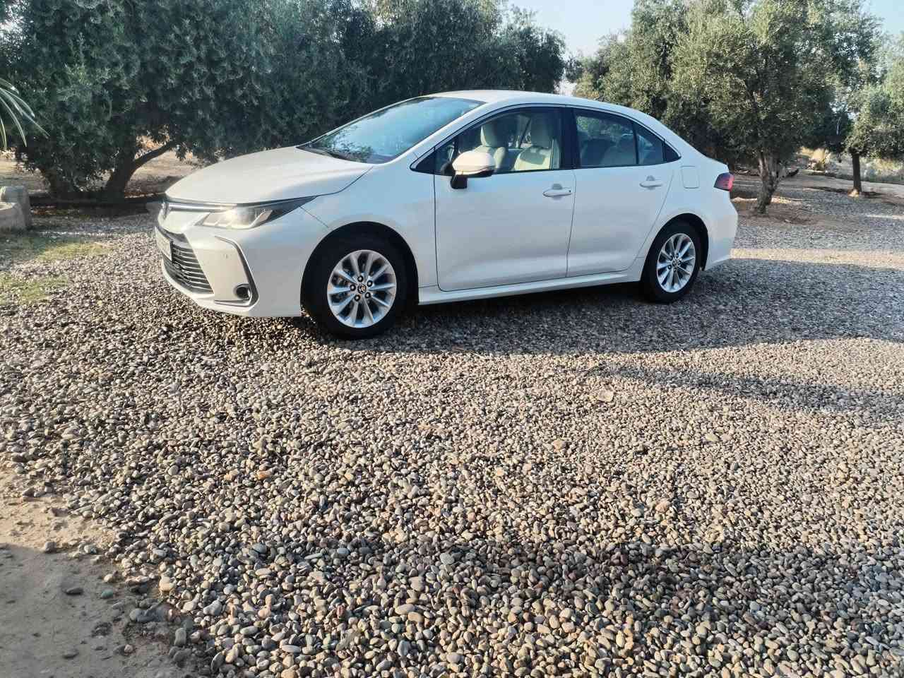كورله • ٢٠٢٠ • بدون صبغ