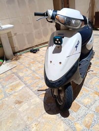 منغولي • ٦٠ • جديده