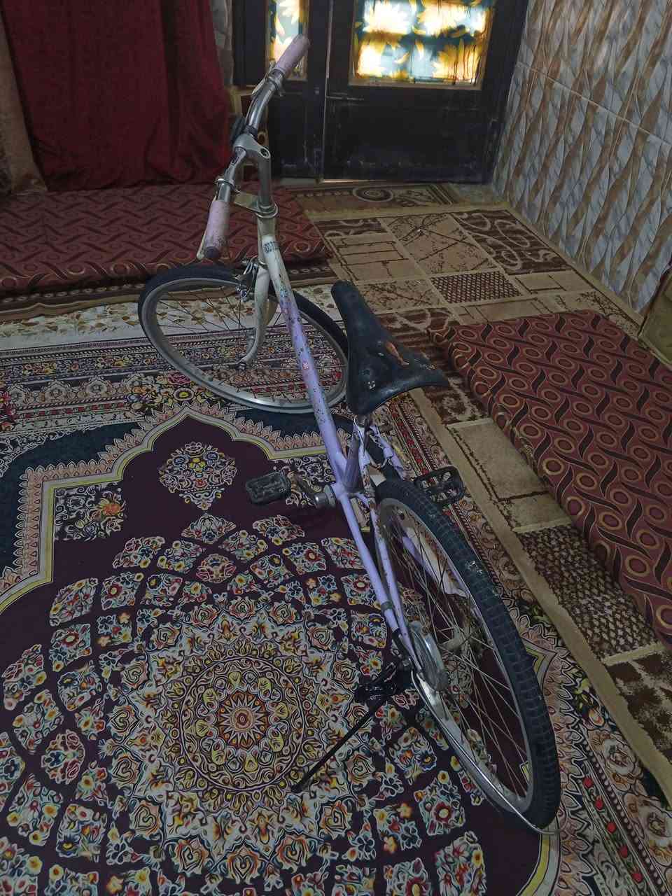 باسكل • نضيفه • حجم ٢٢