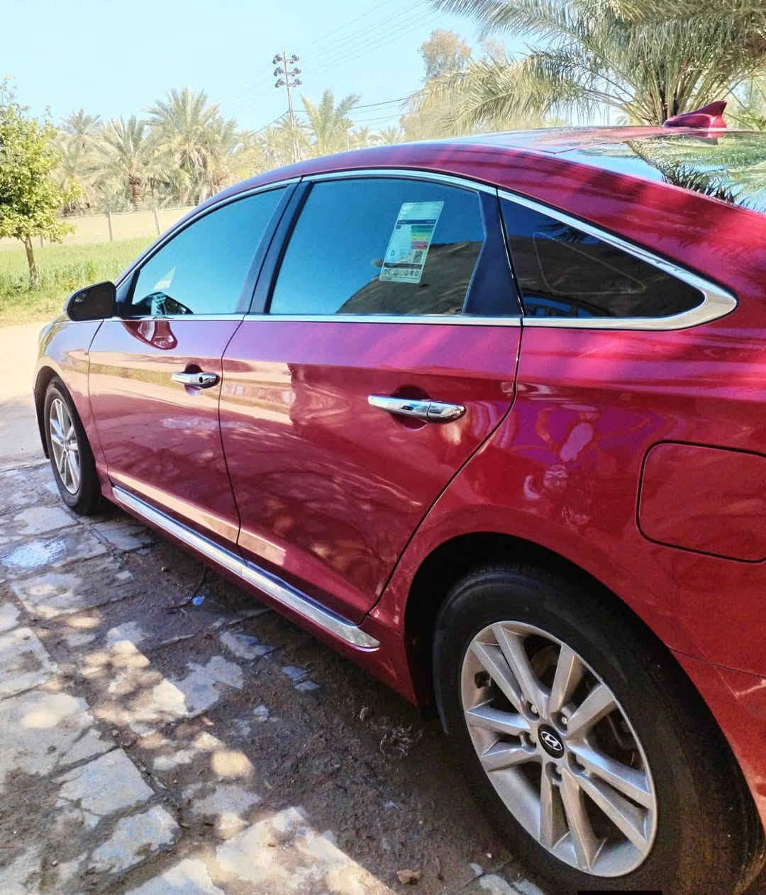 سوناتا ٢٠١٦ • نجف • دعاميه اماميه