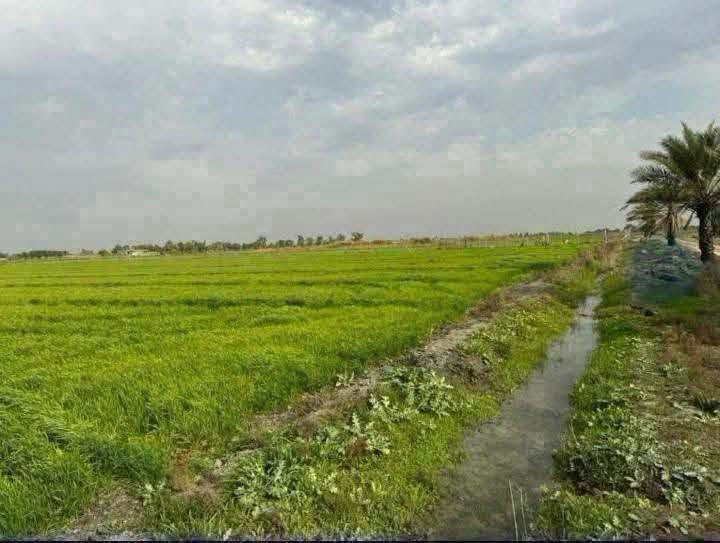 السلام عليكم عرض اليوم 3دونم ع تبليط مباشر جميع الخدمات متوفر طابو زراعي سند٢٥
- 💧 ماء أسالة
- 💡 كهرباء سعر دونم 40وبي مجال 
- 🛣️ تبليط مباشر
- 📄 سند ع طابو الكاضميه 
- 🌾🏠 جاهزة للزراعة أو البناء

💰 _ثاني يوم فتح بيان 

🏞️ _الموقع_:الوجهة 50 والنزل 50 
- بغداد - التاجي - ذراع دجلة - منطقة الشيخ عامر 

- 🚶‍♂️ تبعد عن المدارس والسكن  
- 💯 موقع كلش حلو وراقي

📝 *شرط*:
- متدفع فلس اذا مافتحلك بيان باسمك وبل طابو 😊
- نصيحة دين والله يا اخوني كلش راقية 💯

📞 _للاستفسار***********
