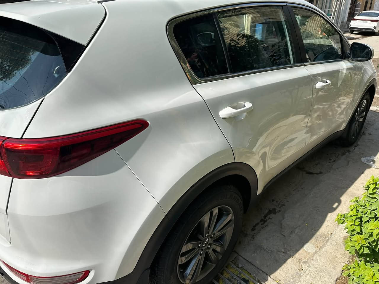 سبورتج • ٢٠١٧ • رقم بغداد