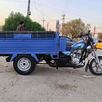ستوته • موديل ٢٣ • مكفوله