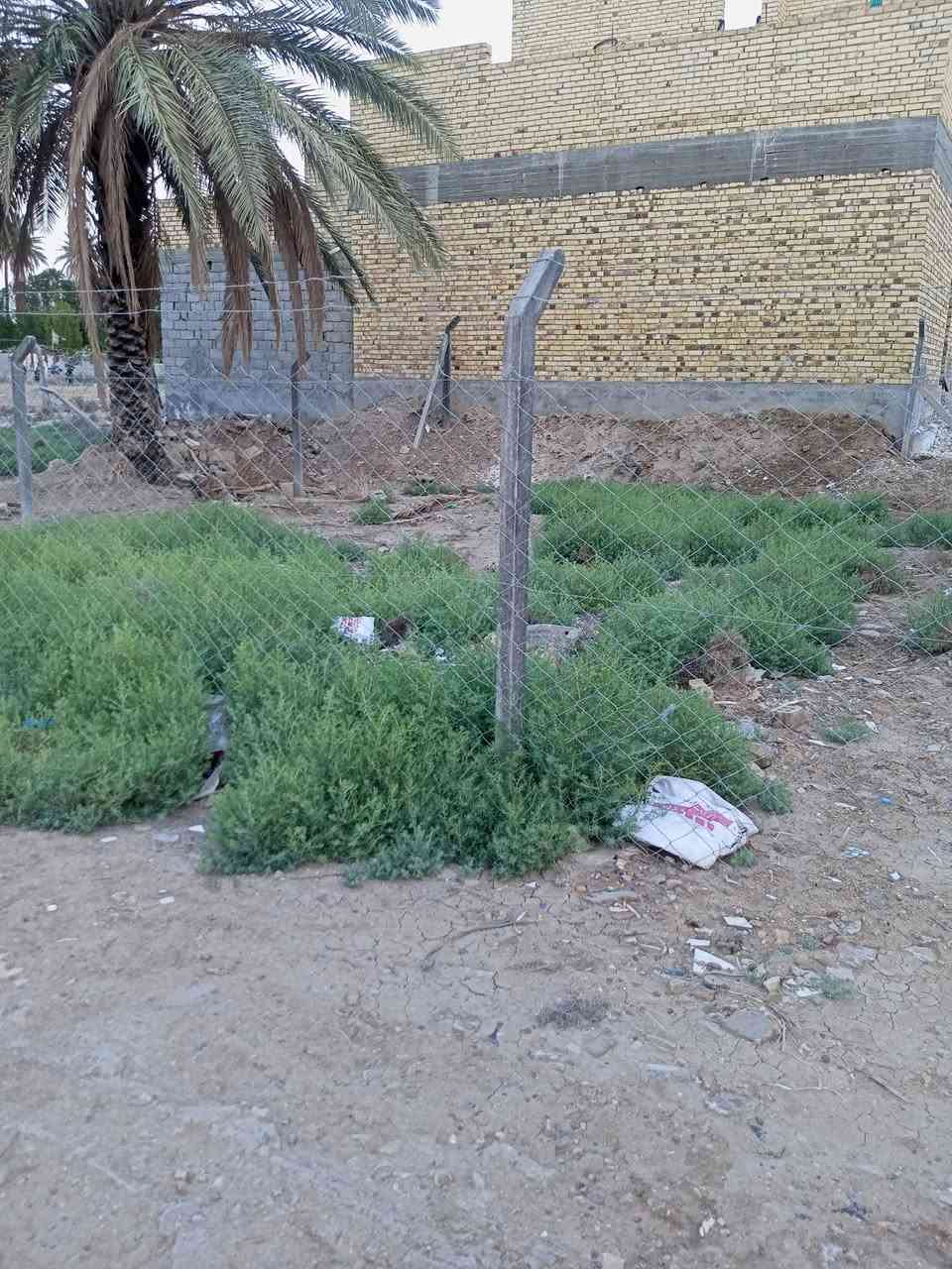 السلام عليكم قطعه للبيع مساحه 200م ورديه خارج خلف ابو كيره تبعد عن التبليط 40 متر كافة الخدمات متوفره للاستفسار اكثر ***********
