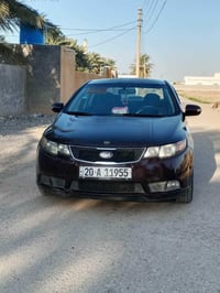 فورتي • ٢٠١٠ • وارد امريكي