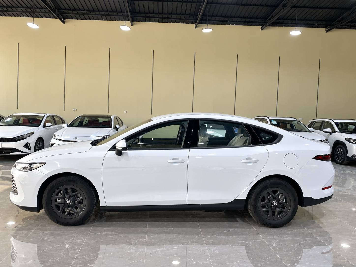 ✅✅بي واي دي  BYD Qin Plus   داخل أبيض 
✅✅سنة الصنع 2025  زيرو زيرو
✅✅حجم المحرك 1500cc 
✅✅بطاريه ليثيوم شفرة byd 
سيارة سيدان مدمجة بنظام هايبرد PHEV 
✅✅تجمع بين محرك بنزين هايبرد   بلكن ومحرك كهربائي
✅✅ بطارية ليثيوم شفرةbyd تدعم الشحن السريع
✅✅ شاشة   إنش بنظام ملاحة وتحديثات OTA
✅✅ نظام صوتي بـ6 مكبرات صوت + ميزة الكاريوكي
✅✅ حساسات وكاميرا خلفية – مثبت سرعة – مقاعد جلد 
✅✅ تصميم خارجي عصري بمصابيح LED ومقصورة عازلة للصوت
✅✅اوتو ستوب
✅✅حساس خلفي 
✅✅اوتو هولد AUTO HOLD 
✅✅هند بريك بصمه 
✅✅تشغيل السياره بصمه مع
 كارت دخول ذكي
✅✅مقاعد جلد 
✅✅لايت زينون 
✅✅لد نهاري LED
✅✅بك لايتLED
✅✅3انضمة للقيادة 
✅✅مانع تزحلق
✅✅مثبت سرعه  Cruise 
✅✅تشغيل عن بعد 
✅✅شاشة ذكية
✅✅ سعة الخزان 65لتر   اتمشيك 2100 كم 
شركة الفرس الابيض لتجارة السيارات 
 معارض البياع -الشارع الاول المميز - مقابل كراج البياع. 
للاستفسار الاتصال على الارقام :او المراسله واتساب
***********
***********

