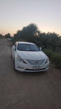 سوناته • ٢٠١٣ • بابل