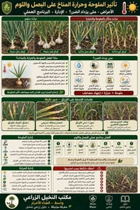 بصل وثوم • إجهاد الملوحة • تنظيم الري