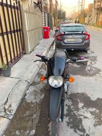 بوكسر جبلي • ٢٠٢٢ • بدون اوراق
