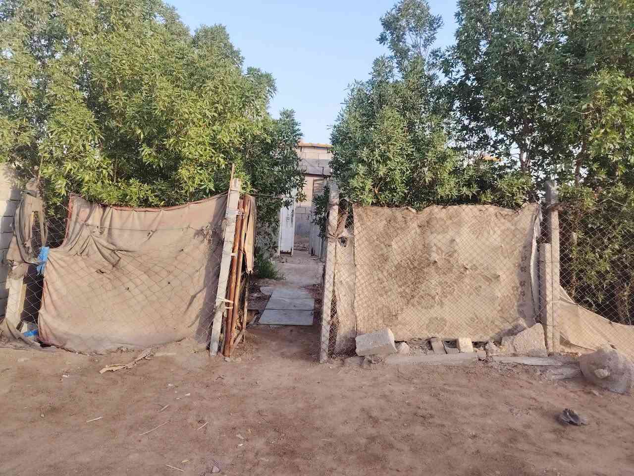 سلام عليكم بيت زراعي للبيع نضيف كبال مديرية المرور 200متر مال عويل بي حديقة جبيرة السعر 13 بي مجال ***********
