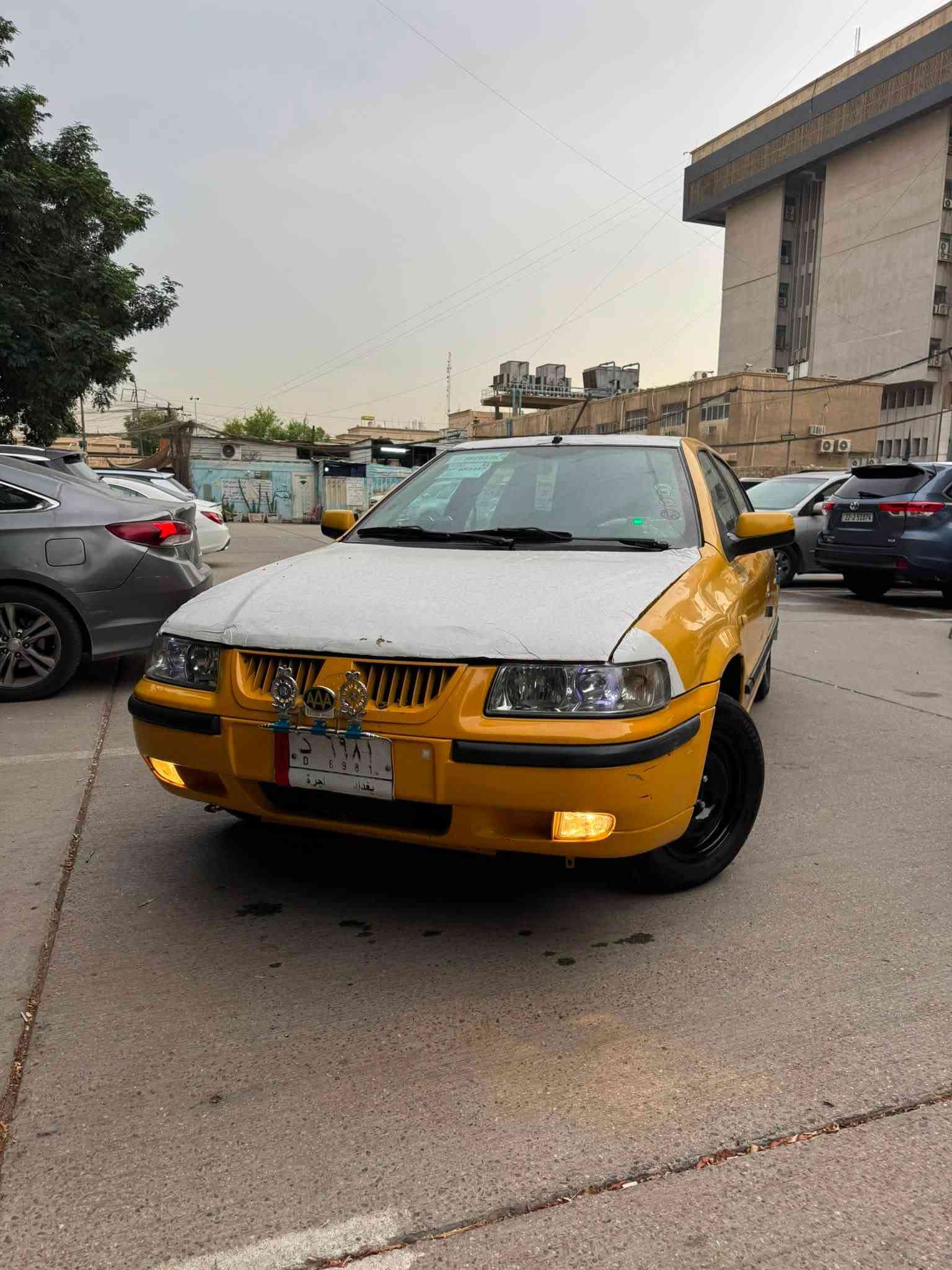 سمند • ٢٠١١ • مراوس