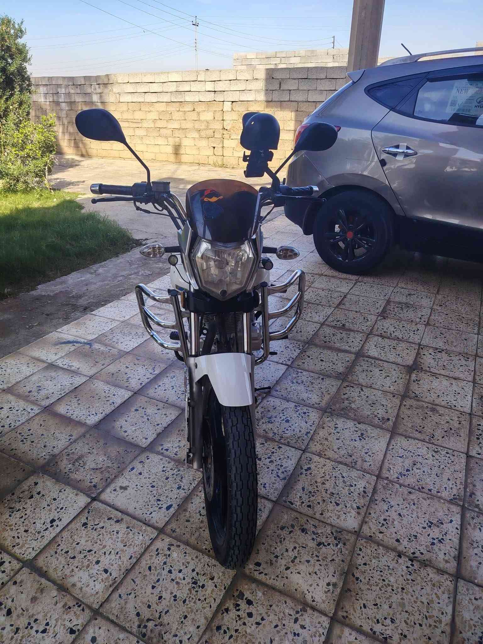 سنكي • ٢٠٢٣ • تحويل مباشر