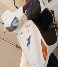 فراشه • فحل • دسك
