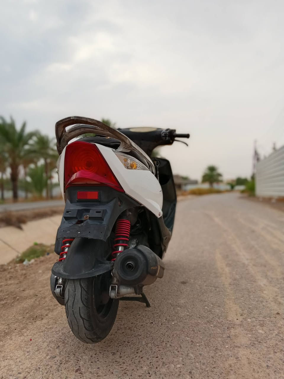 تاجي • سعر خاص • بيش رايده