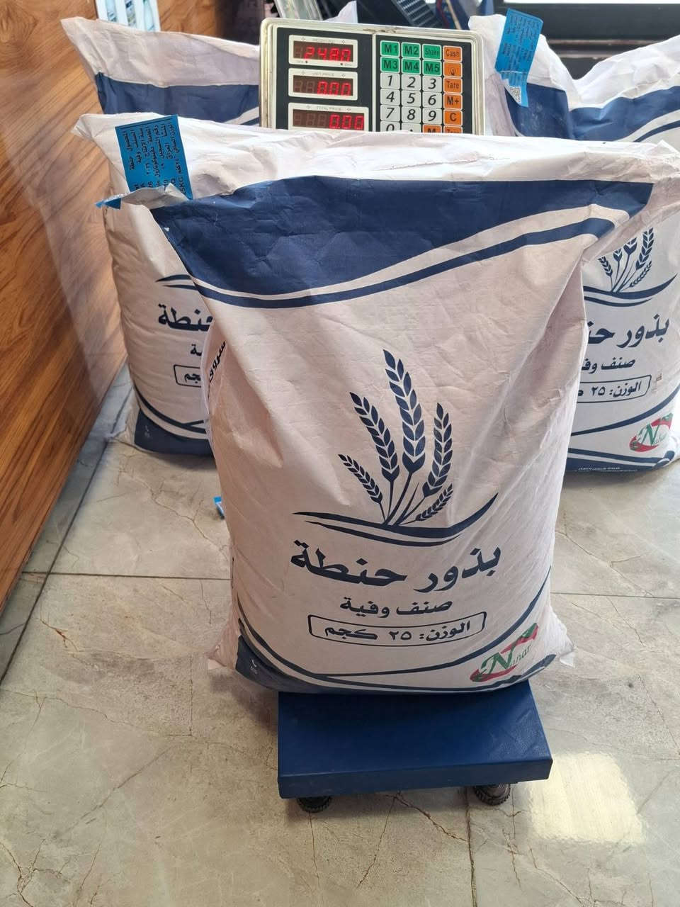 بذور حنطه • منشأ أوروبي • فحص وزارة الزراعة