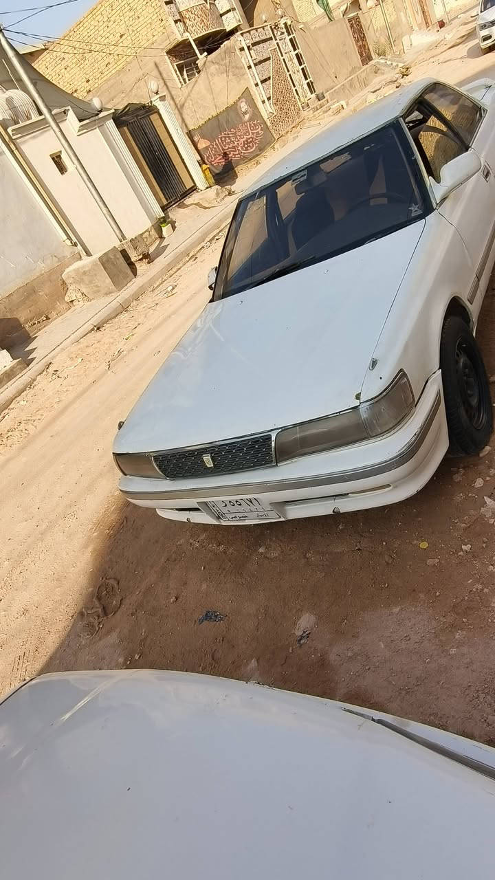 شيزر • ١٩٩١ • مكفولة