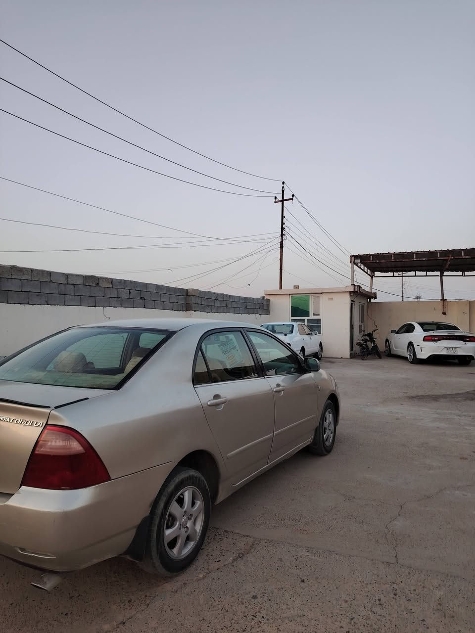 السلام عليكم ورحمة الله وبركاته
كورلا بيكاجو ادوات مكصوص

٢٠٠٧ محرك كير جدد

تبريد ثلج صدر جديد

سعر ٣٧ وبيها مجال

يرهم بيع او مراوس

للاستفسار ***********

مكاني العلم ربيظه
