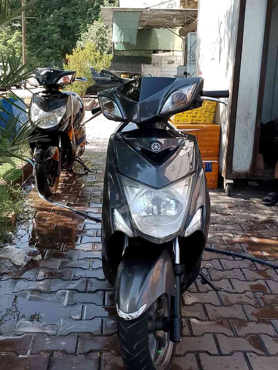 سكنس • ياباني • نفخ