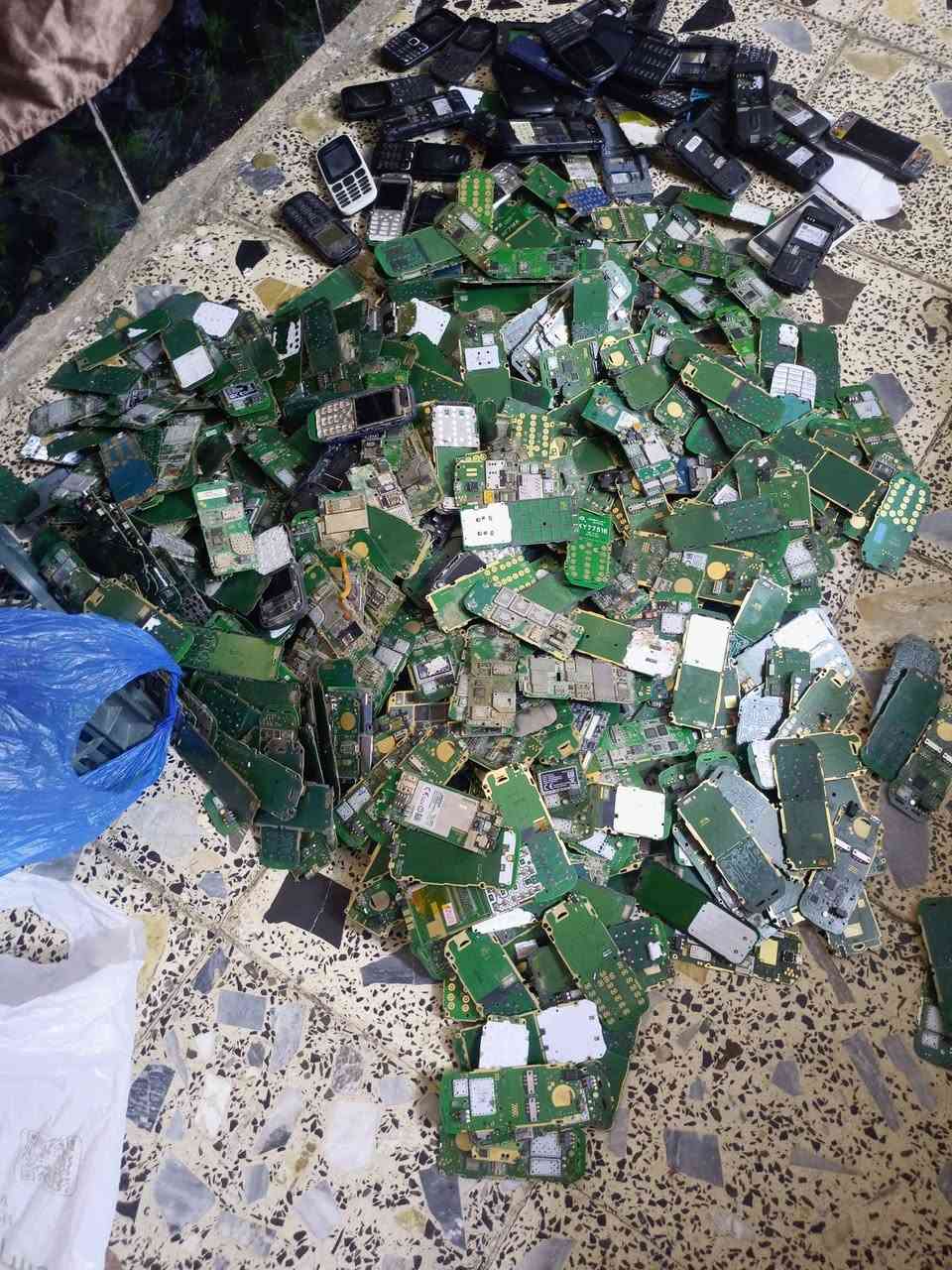 بوردات صراصير فنلندي وفيتنامي وهندي اعلى سعر ابيع بالقطعه بالكيلو مااتعامل *********** مكاني نجف العدد 1000 صرصور
