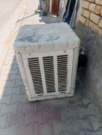 برده • ال 12 سكلات