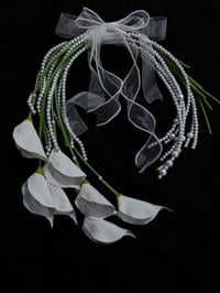 واتساب • استفسار