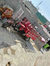 ستوته • دايوان • بدون اوراق