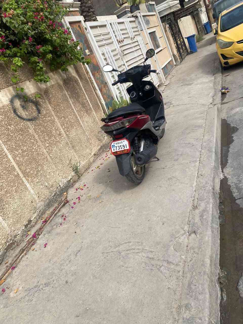 سكنس • كفاله مكينه • ما ملعوب
