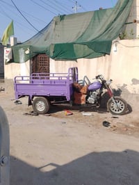 نيفان فرس • ٢٠١٧ • ستوته
