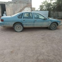 دولفين • ١٩٩٥ • نجف