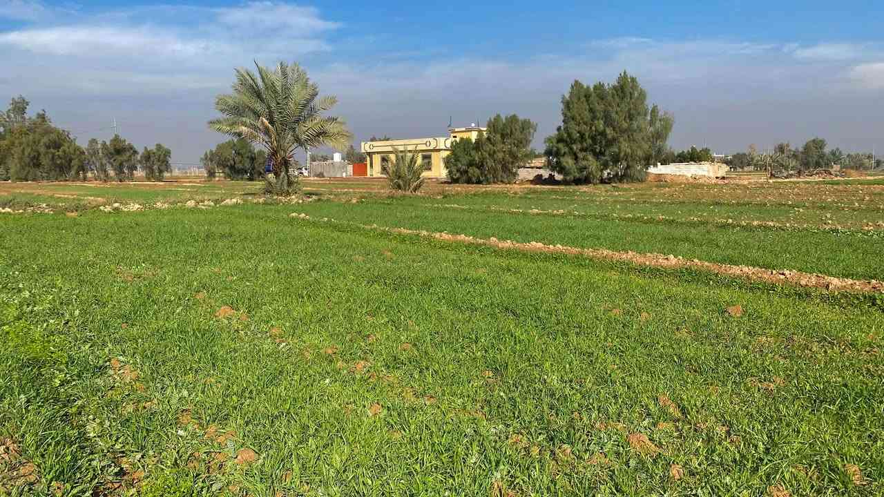 النهروان بغداد • أرض ١٠٠٠م • ماء كهرباء بوري