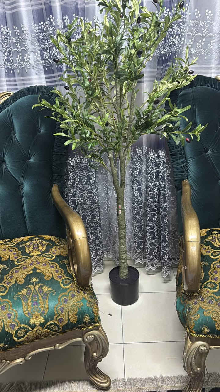 شجرة زيتون من الامزون للحجز والاستفسار راسلونا على الواتس ***********
https://chat.whatsapp.com/GkrKGq928KcGVBHuySZlTR?s=cl&p=i&mlu=4&ilr=4 انضم الى الرابط
