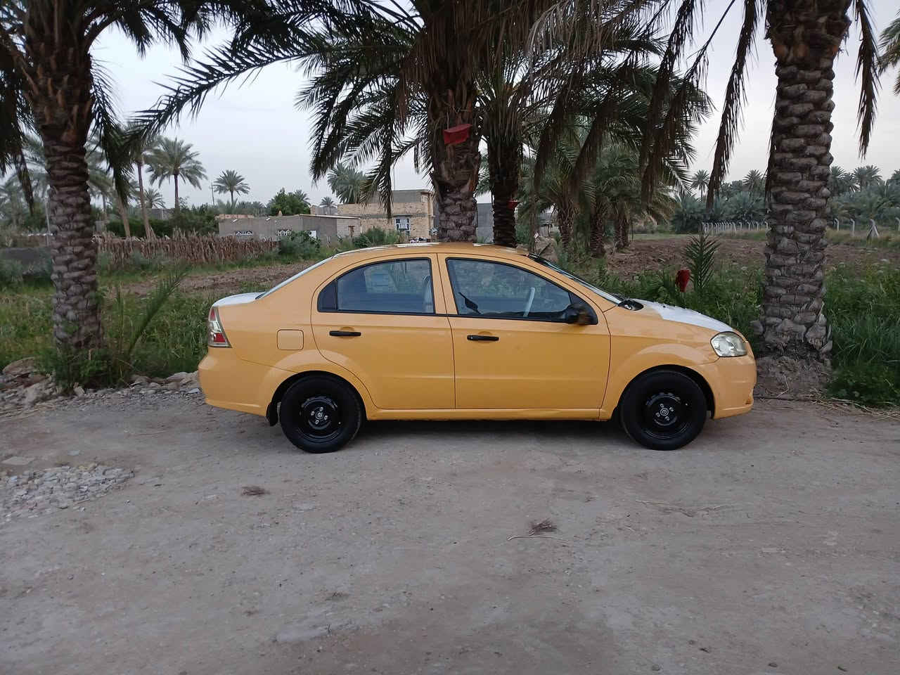افيو خليجي 2011 مال مؤسسه كفاله عامه عدا بارد بالباب شويه رقم بغداد انكليزي  كير محرك كفاله  ومحرك مفتوخ المرغوب تبريد شغال سياره اي نقص مابيه شرط ع صبغتها البلاديه 
والسياره احلا من الصور استخدام شخصي تجي وتكلب براحتك 
#السعر 67$وبيه مجال ان شاءالله وتفاصيل كامله اقتنع وخابر ❤
المكان حله جزائر
***********
