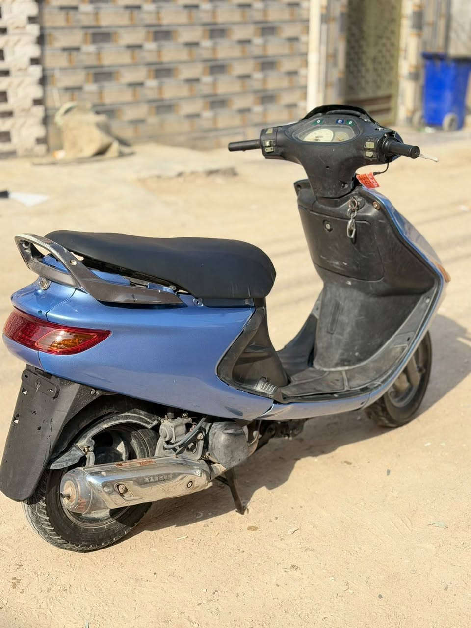 فراشة فحل • كهربايات • نظافه