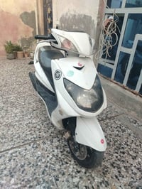 سكنس فحل • ياباني • بلاديه