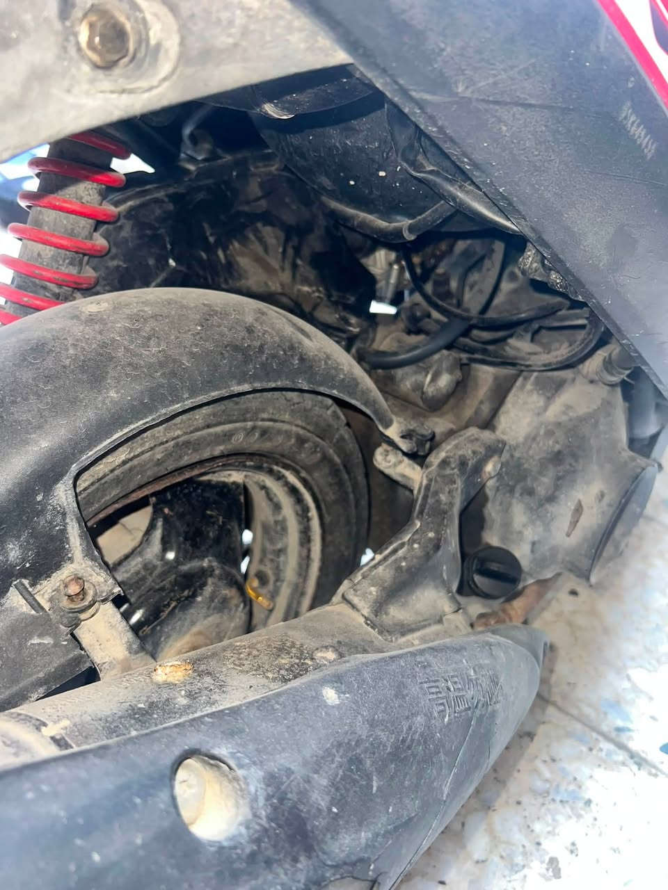 دراجه ماكس عدله البيع بيه نفس شياء قليله دراجه شغاله سلف وهندر مكينه ناعمه مابيه اي شي مجرد العيون والخلفي سعره خاص او خابرني ع رقم ***********
