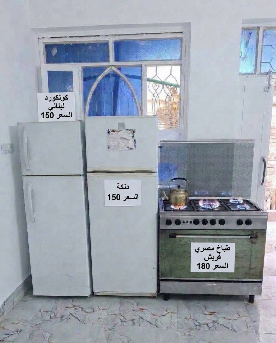 كونكورد • طباخ مصري • فريش