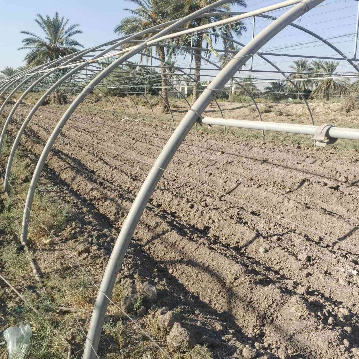 سلام عليكم بيت زجاجي زراعي لبناني ٢٤ قوس حديد مع ابواب فقط نضافه ١٠٠٪؜ المكان بابل محاويل ناحيه الامام طريق السريع ***********
