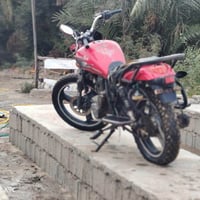 هيوشه • شغاله • كير نمرتين