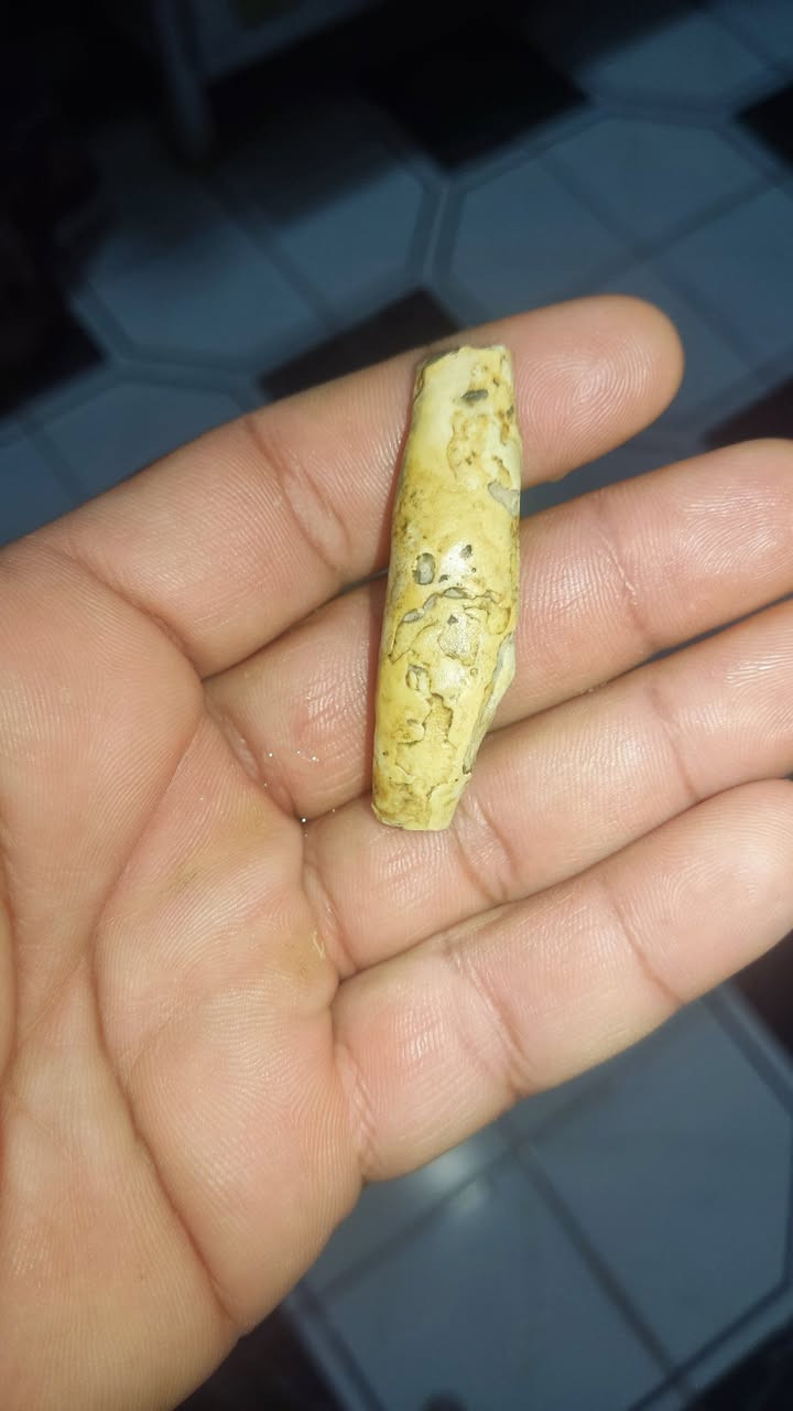عرك عطف بري ملاكط اصلي طبيعي رباني مجرب ذمه محبه وجلب القلوب على النظره راحه نفسيه جلب الحبيب عقد لسان تسهيل مور جاه وجه مهابه هيبه  للببع *********** الاستفسار وتساب
