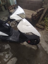 ثعلب رمبه السعر 800 مكان بغداد حي اور للستفسار 07740459609