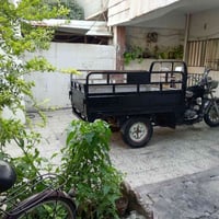 ستوته • ٢٠١٩ • ٢١٩