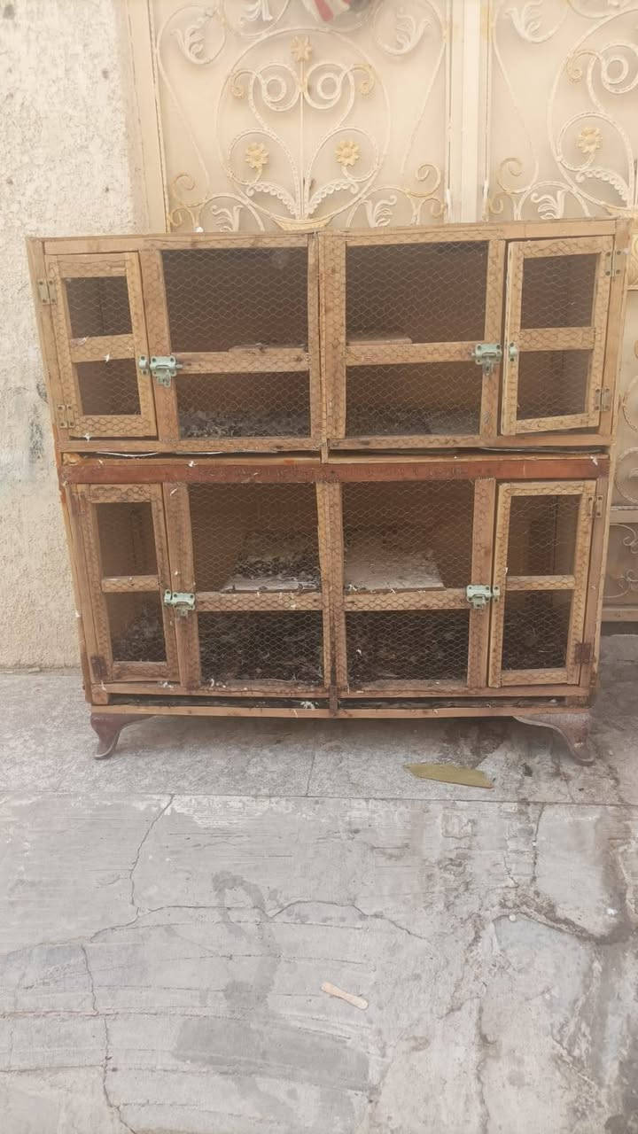 قفس • للبيع • سعر مناسب