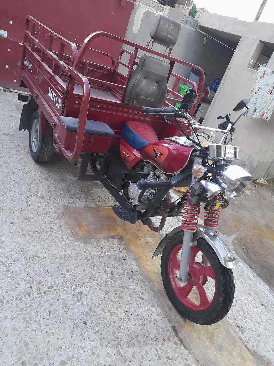 ستوته • موديل ٢٣ • مرقمه