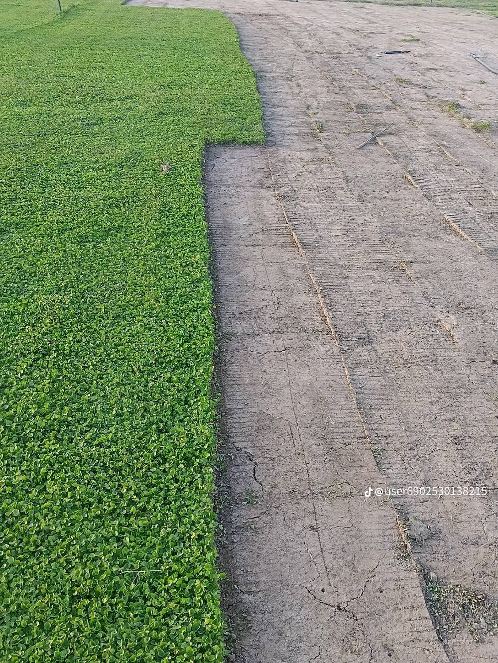 ثيل طبيعي • تجهيز مشاريع • توصيل سريع