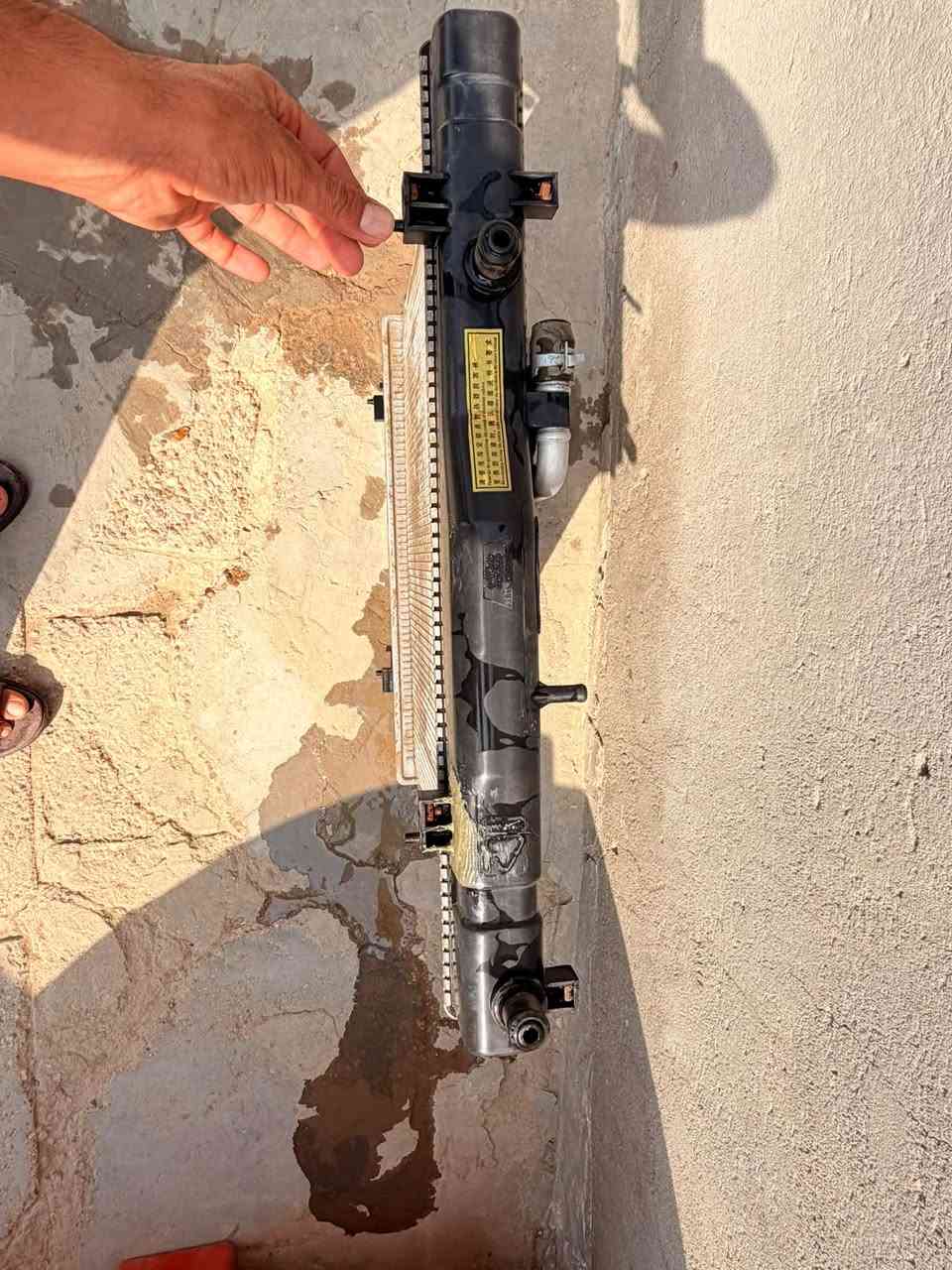 راديتر فوتون • باص C2 • فطر بالقزان