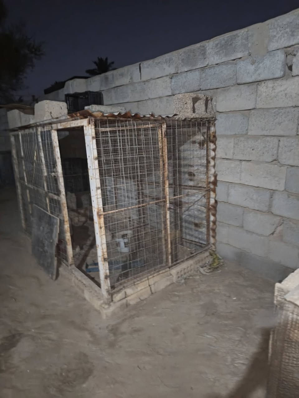 سلام عليكم قفص للبيع رتفاع متر 30 العرض متر 20 الوجهية مترتين و30  الاستفسار هذا رقمي ‏‪***********‬‏
