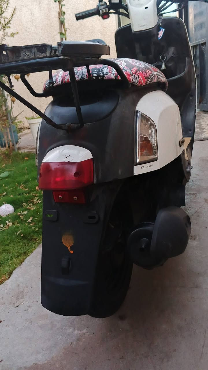 بوليس • عادي • نوزل