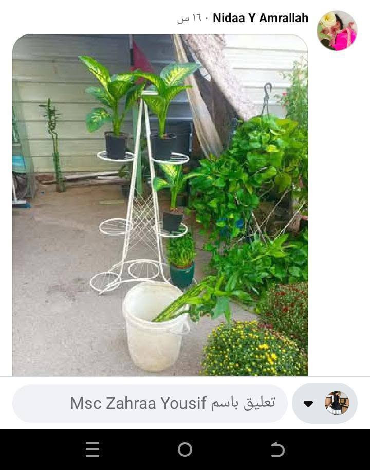 ورود • بعقوبه